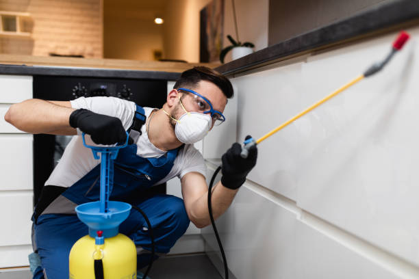 Best Best Pest Control Companies  in Dundee, OR