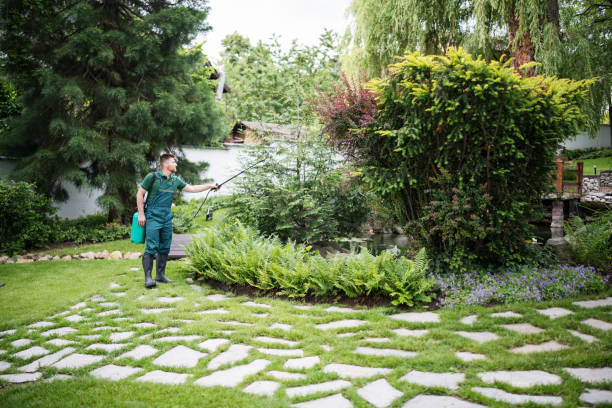 Reliable Dundee, OR Pest Control Solutions