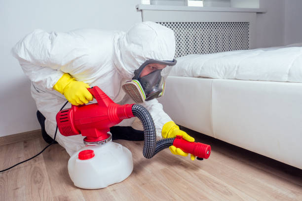 Flea Control Services in Dundee, OR