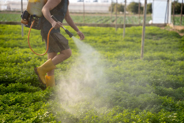 Wildlife Control Services in Dundee, OR