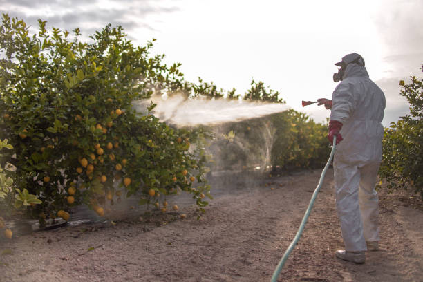 Best Best Pest Control Companies  in Dundee, OR