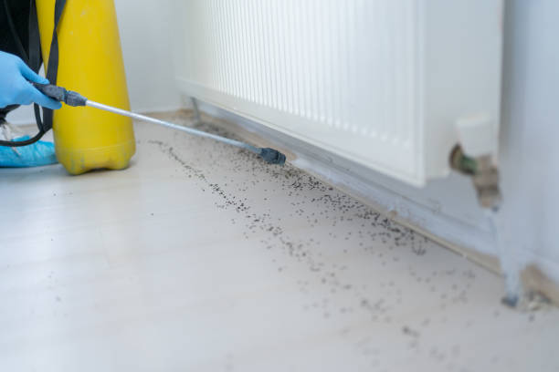 Best Pest Removal Services  in Dundee, OR