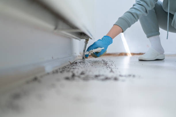Best Best Pest Control Companies  in Dundee, OR